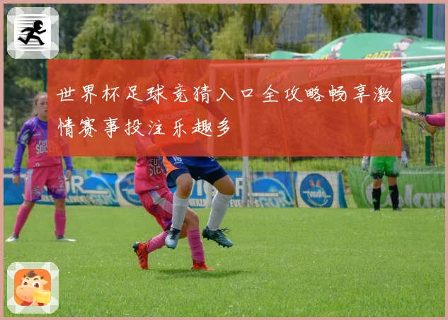 世界杯足球竞猜入口全攻略畅享激情赛事投注乐趣多