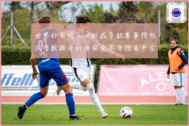 世界杯竞猜入口权威导航赛事预测技巧数据分析与安全参与指南平台